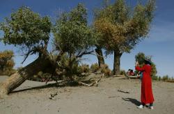 lol高校认证-青海队稳定表现，击败内蒙古队晋级