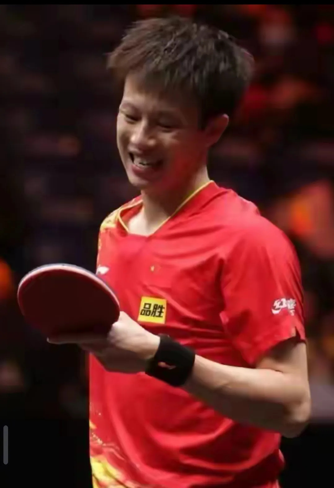 关于瑞典乒乓球队横扫德国乒乓球队，王皓爆发神勇的信息