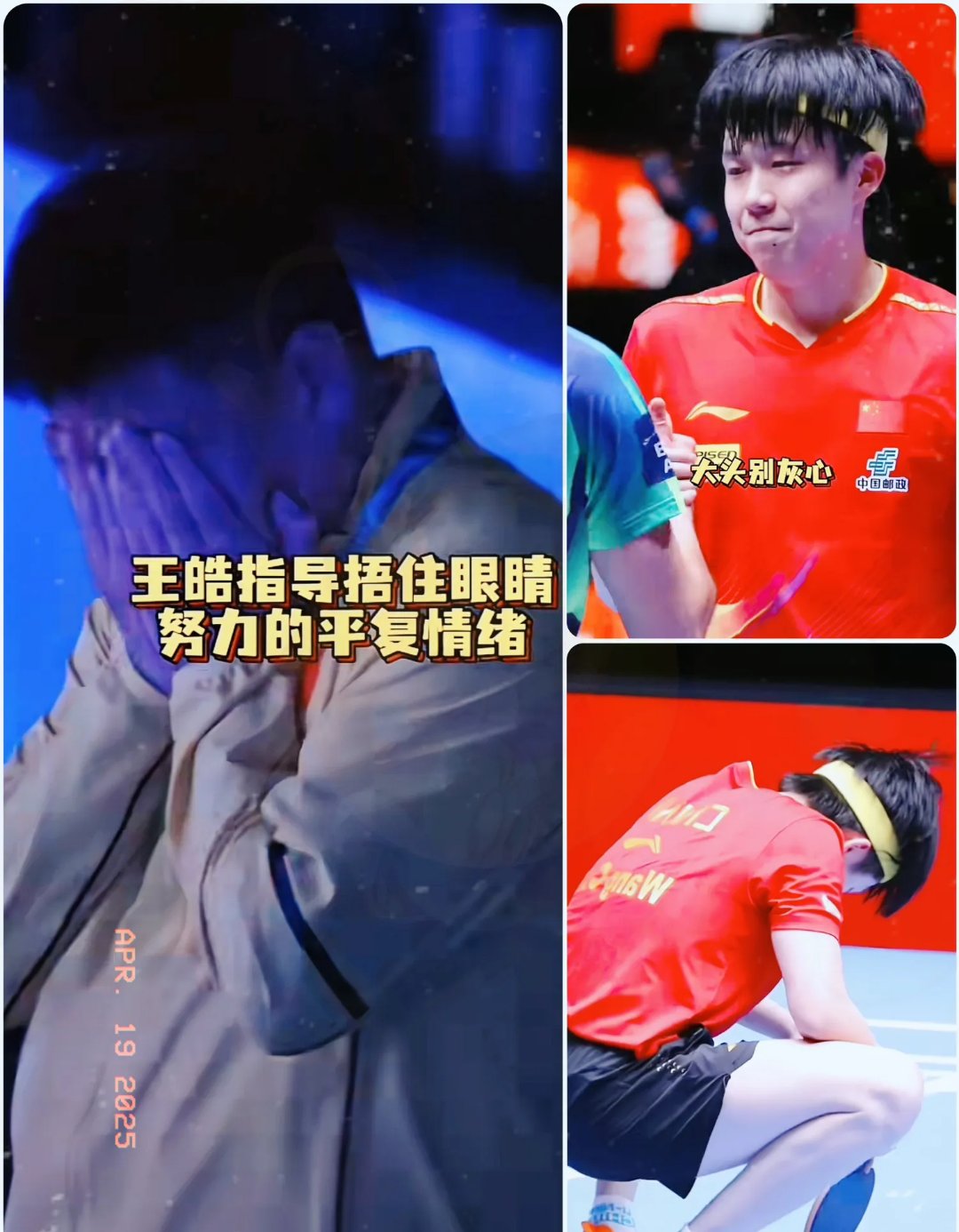 关于瑞典乒乓球队横扫德国乒乓球队，王皓爆发神勇的信息